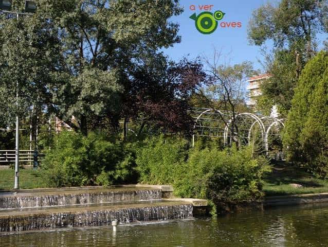 Vista del parque con cascada y vegetación