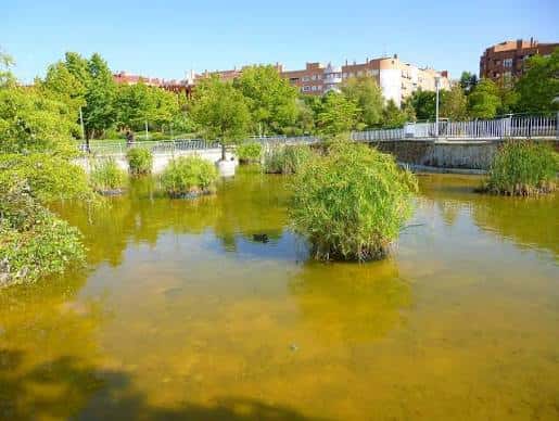 Paisaje natural del parque con estanque y vegetación autóctona