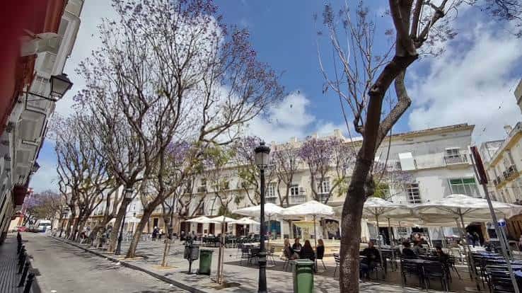 Vista panorámica de la plaza con terrazas de cafeterías y árboles sin hojas