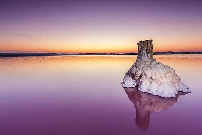 Puesta de sol sobre la Laguna Rosa con un tronco salino en primer plano