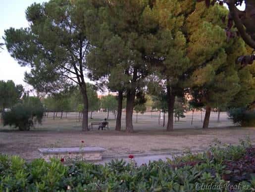Zona arbolada del parque con bancos y senderos para pasear