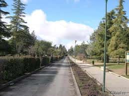 Sendero principal del parque flanqueado por árboles y setos
