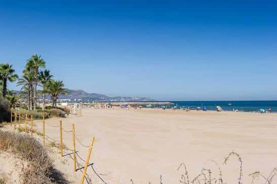 Vista panorámica de la Playa del Gurugú con arena dorada y palmeras