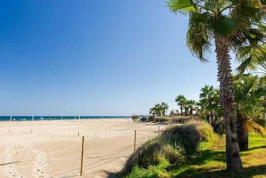 Playa del Gurugú con palmeras al atardecer y mar en calma