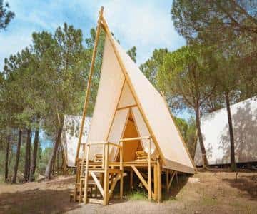 Tienda de campaña tipo A-frame en un entorno boscoso