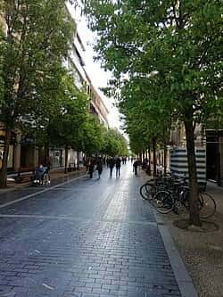 Vista de la Calle Elkano en San Sebastián con árboles y personas caminando