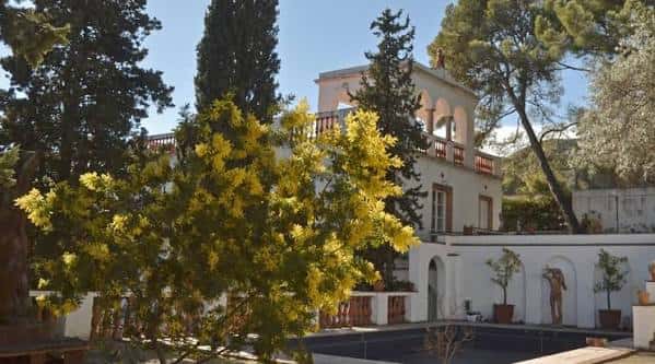 Vista exterior del Jardí dels Tarongers con árboles frondosos y fachada blanca