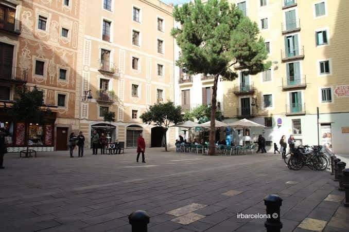 Plaza del Pi con árboles y terrazas de cafeterías