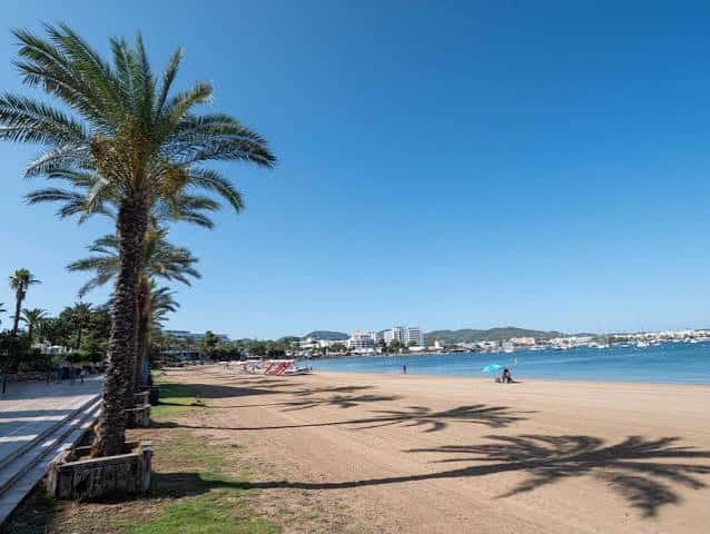 Vista panorámica de la playa con palmeras y el mar en primer plano
