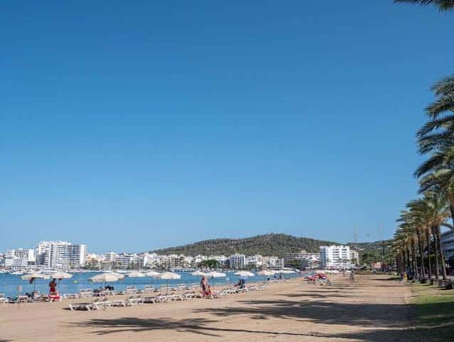 Paseo marítimo bordeado de palmeras frente a la bahía