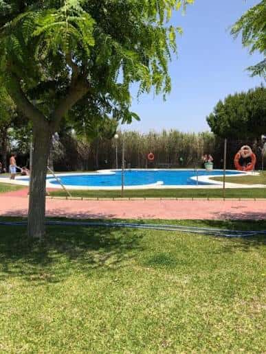 Piscina exterior con zona ajardinada y palmeras en el complejo municipal