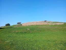 Vista panorámica de la colina verde del Monte da Fraga bajo un cielo azul despejado