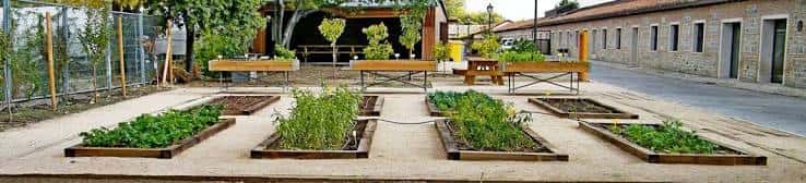 Huerto educativo al aire libre frente al centro con mesas de trabajo y plantas en cajas elevadas