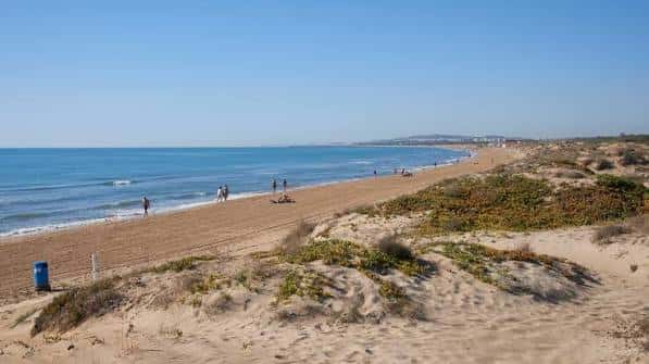 Vista panorámica de la playa del Pinet con dunas y mar