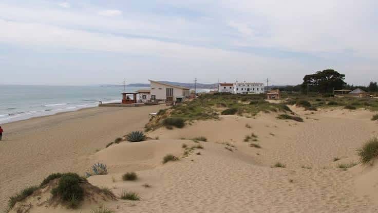 Edificio junto a la playa del Pinet con dunas en primer plano