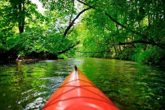 Vista en primera persona desde un piragüista navegando por un río rodeado de vegetación densa