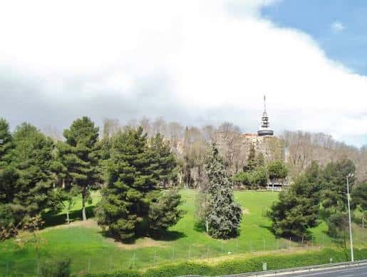 Apariencia general del parque con árboles y colinas verdes