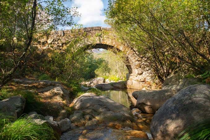 Puente de piedra antiguo sobre un arroyo entre árboles frondosos