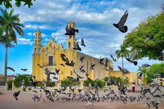 Vista panorámica del Parque de San Juan con la Catedral de Mérida al fondo y palomas volando