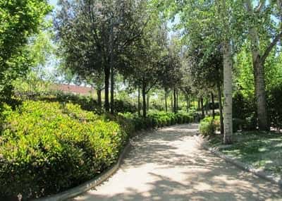 Sendero arbolado con setos verdes en el Jardín Botánico