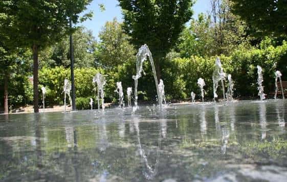 Fuente decorativa con chorros de agua rodeada de vegetación