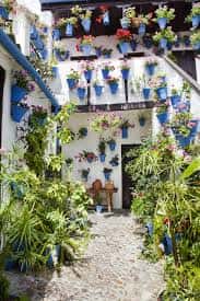 Escalera interior decorada con macetas azules y plantas verdes