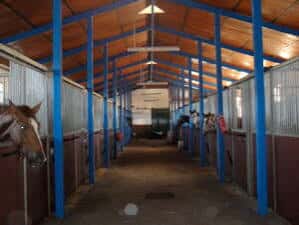 Interior de los establos de la Escuela de Arte Ecuestre con caballos en sus boxes