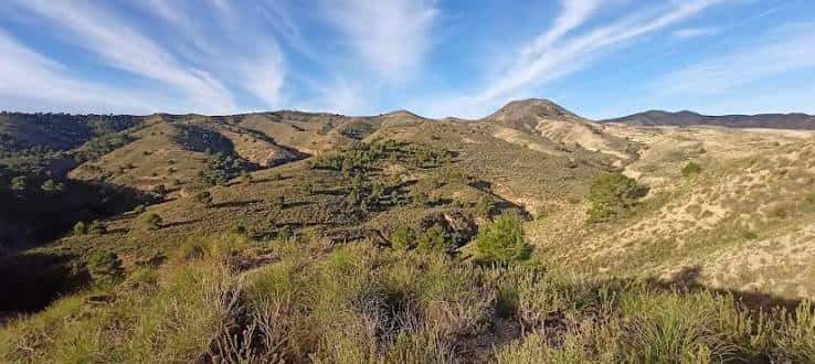 Paisaje natural con colinas y vegetación alrededor del paraje