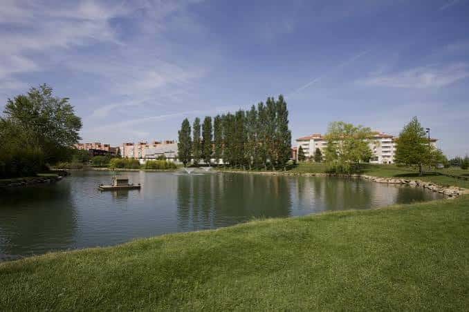 Vista panorámica del lago con fuentes y edificios al fondo
