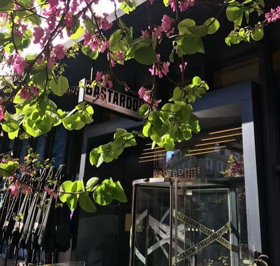 Fachada exterior del Espacio Esqueje con flores y vegetación