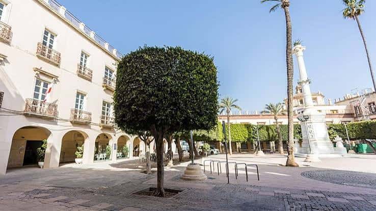 Vista panorámica de la Plaza Vieja con el Ayuntamiento y palmeras