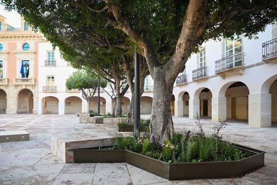 Detalle arquitectónico de los arcos del Ayuntamiento y árboles centenarios