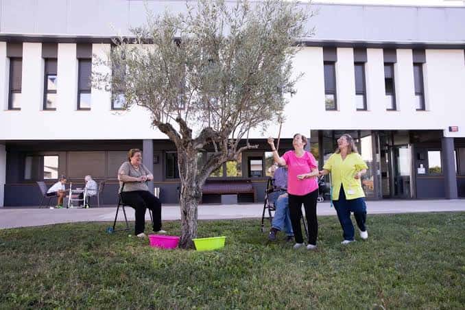 Actividad al aire libre en el patio de la residencia con residentes y personal