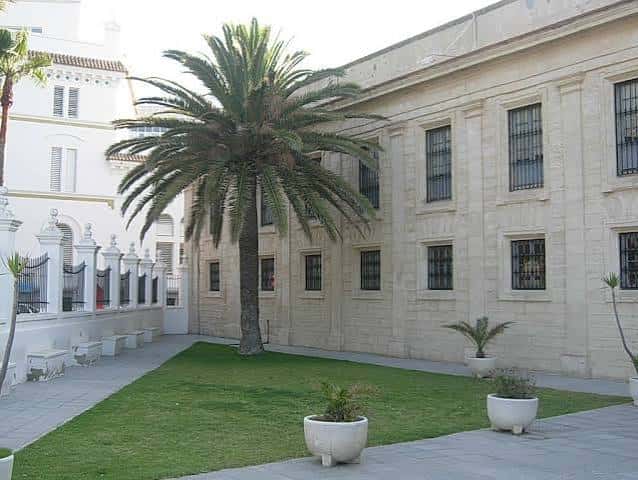 Patio interior con palmera y césped frente al edificio