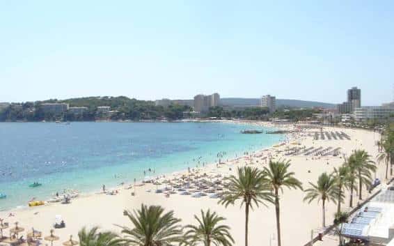 Vista panorámica de la Playa de Magaluf con palmeras y edificios al fondo