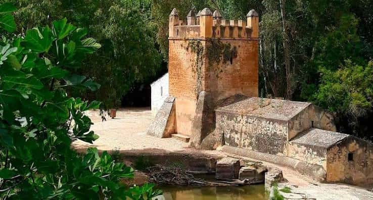 Torre histórica y edificio antiguo junto al río en el Parque Oromana