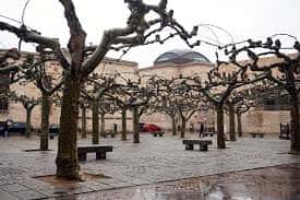 Plaza de Viriato bajo lluvia, con cúpula del edificio al fondo y árboles desnudos