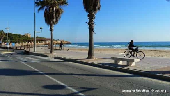 Ciclista en el paseo marítimo bajo palmeras frente al mar