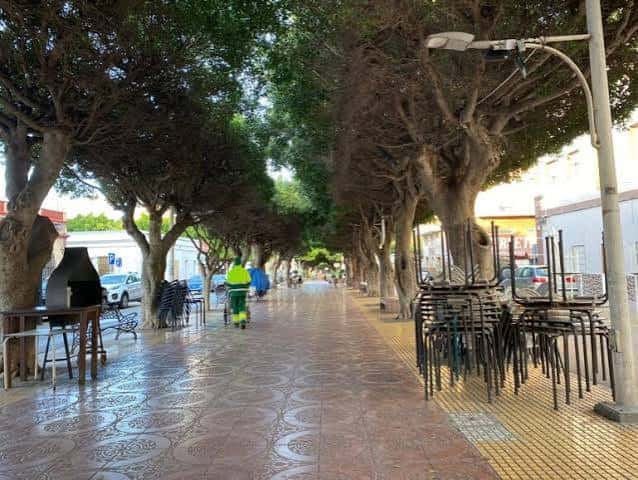 Paseo arbolado con mesas apiladas listo para una verbena o evento al aire libre