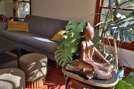 Espacio comunitario interior con decoración relajante y plantas