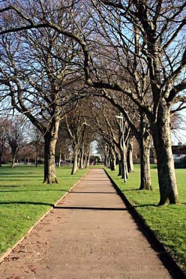 Sendero arbolado en Devonport Park con césped verde y cielo despejado