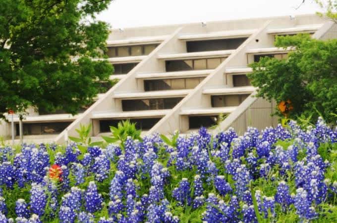 Fachada moderna del edificio rodeada de flores azules