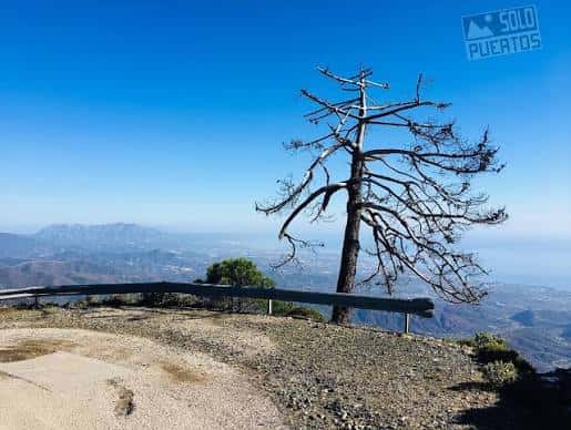 Vista panorámica del puerto de Peñas Blancas con un árbol seco característico y el mar al fondo