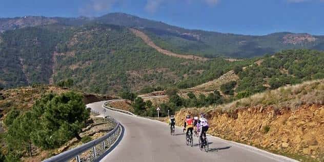 Ciclistas subiendo la carretera serpenteante hacia el puerto en un día soleado