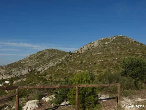 Paisaje natural del Monte San Antón con sendero y valla de madera