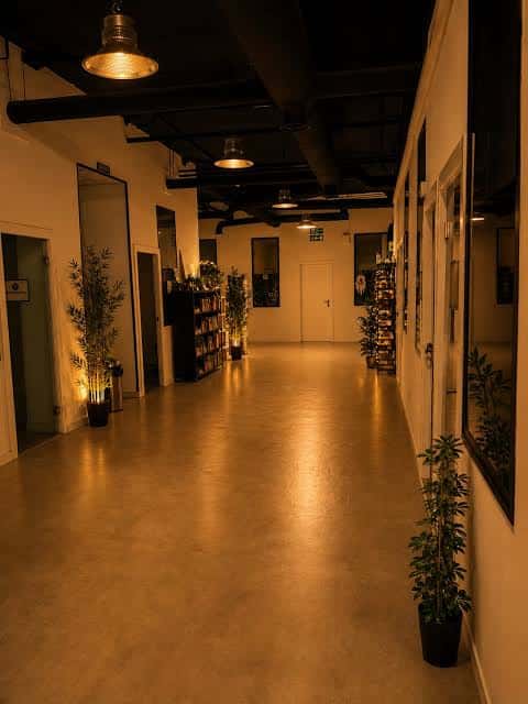 Pasillo interior moderno con iluminación cálida y plantas decorativas