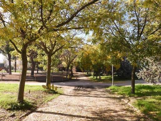 Sendero arbolado con follaje otoñal en el Parque Agustín Rodríguez Sahagún