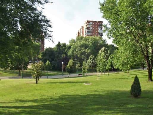 Pradera extensa con árboles dispersos y vista de bloques de viviendas
