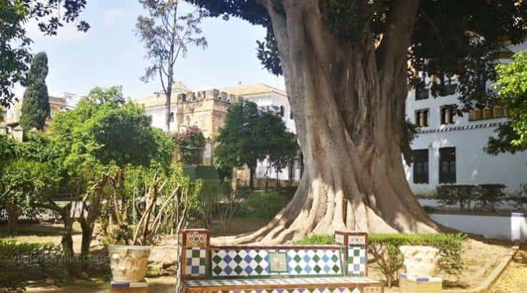 Banco decorado y árbol grande en los jardines
