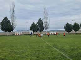 Jugadores en acción durante un partido en el campo de Ribera de Castilla